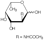 structure of N-acetyl-L-fucosamine structure of N-acetyl-L-fucosamine