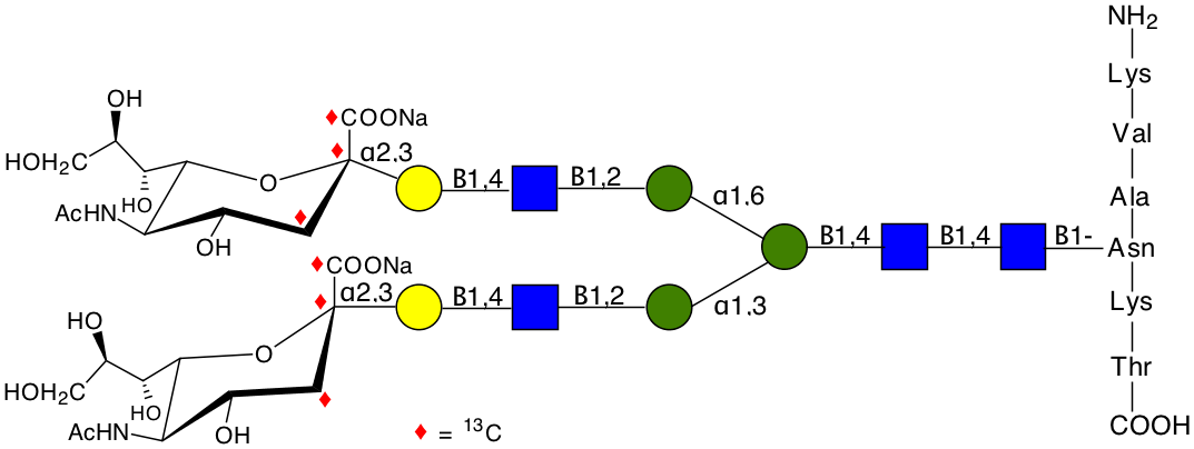 structure of NH2-Lys-Val-Ala-{[1,2,3-13C3]NeuNAcalpha2,3Galbeta1,4GlcNAcbeta1,2Manalpha1,3([1,2,3-13C3]NeuNAcalpha2,3Galbeta1,4GlcNAcbeta1,2Manalpha1,6)Manbeta1,4GlcNAcbeta1,4GlcNAcbeta-}-Asn-Lys-Thr-COOH
