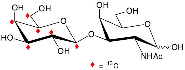 structure of [U-13C6]Gal(b3)GalNAc