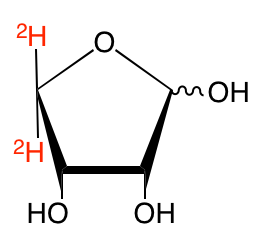 structure of D-[4,4'-2H2]erythrose