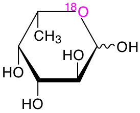 structure of L-[5-18O]fucose