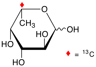 structure of L-[5-13C]fucose