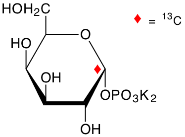 structure of alpha-D-[1-13C]Gal1P