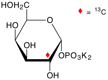 structure of alpha-D-[2-13C]Gal1P