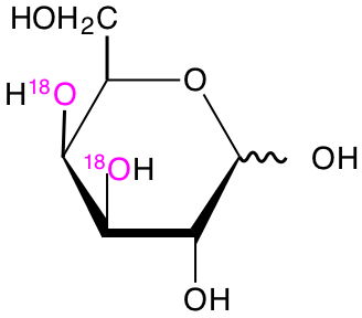 structure of D-[3,4-18O2]galactose