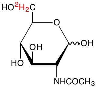 structure of N-acetyl-D-[6,6'-2H2]glucosamine