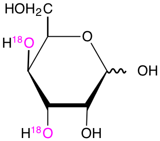 structure of D-[3,4-18O2]gulose