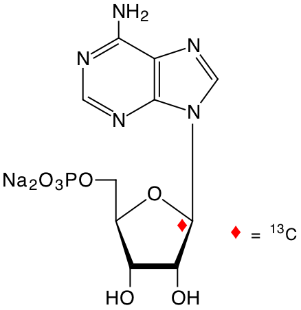 structure of [1'-13C]adenosine 5'-monophosphate (disodium salt)