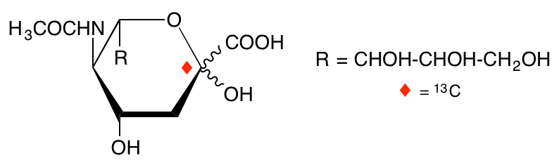 structure of N-acetyl-D-[2-13C]neuraminic acid