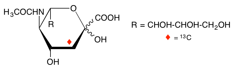 structure of N-acetyl-D-[3-13C]neuraminic acid