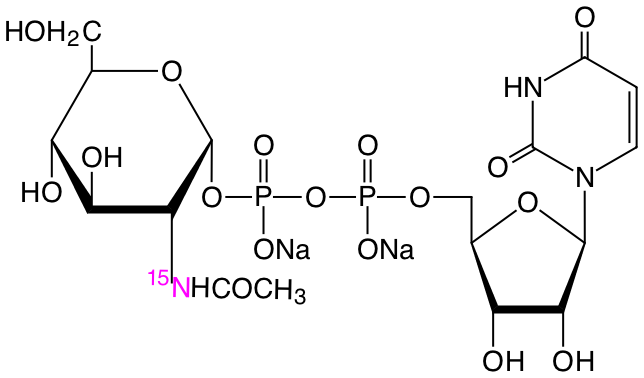 structure of uridine diphosphate-alpha-N-acetyl-D-[15N]glucosamine (disodium salt)