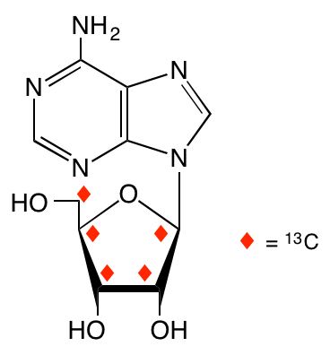 structure of [1',2',3',4',5'-13C5]adenosine