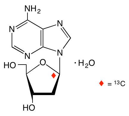 structure of [1'-13C]2'-deoxyadenosine monohydrate