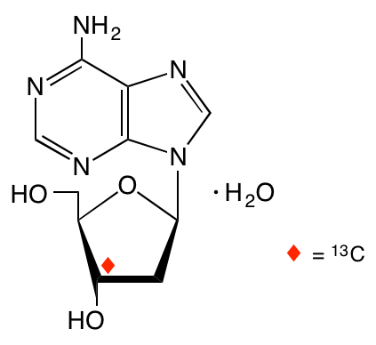 structure of [3'-13C]2'-deoxyadenosine monohydrate