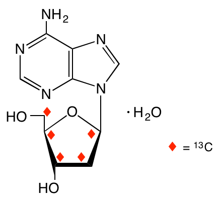 structure of [1',2',3',4',5'-13C5]2'-deoxyadenosine monohydrate