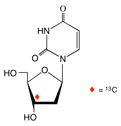 structure of [3'-13C]2'-deoxyuridine