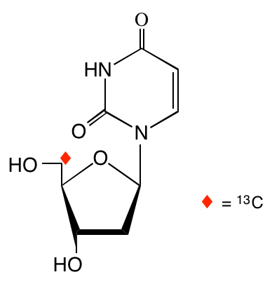 structure of [5'-13C]2'-deoxyuridine
