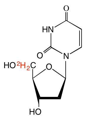 structure of [5',5''-2H2]2'-deoxyuridine
