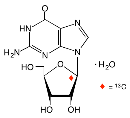 structure of [1'-13C]guanosine monohydrate