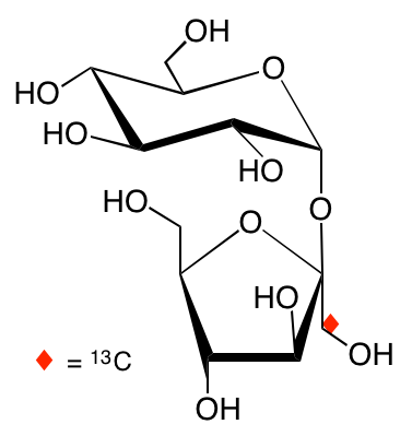structure of [1'-13C]sucrose