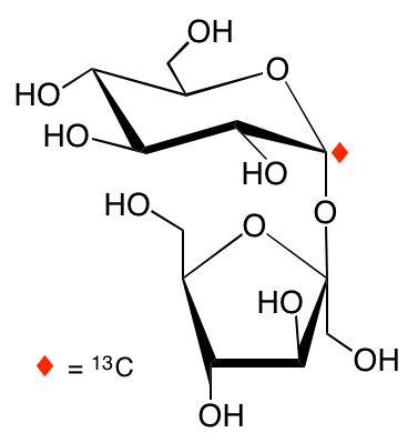 structure of [1-13C]sucrose