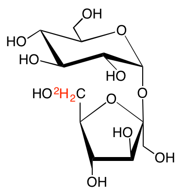 structure of [6,6'-2H2fru]sucrose