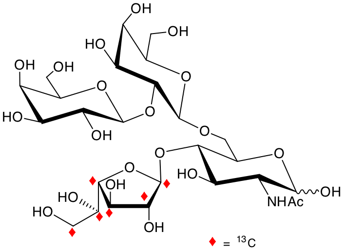 structure of Galp-b2-Galp-b6-(U-13C6-Galf-b4)-GlcNAc