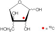 structure of DL-[2-13C]apiose