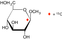 structure of methyl beta-D-[1-13C]glucopyranoside