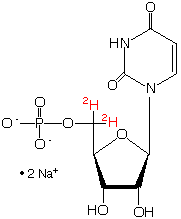structure of [5',5''-2H2]uridine 5'-monophosphate