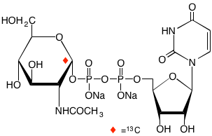 structure of UDP-alpha-N-acetyl-D-[1-13C]glucosamine