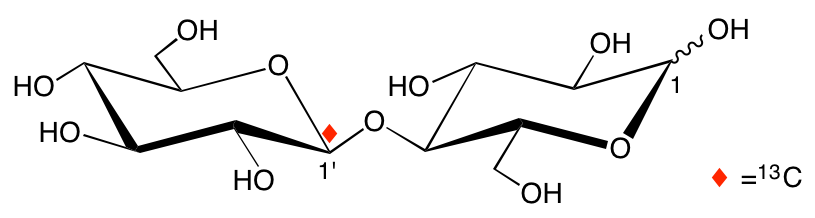 structure of [1'-13C]cellobiose