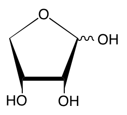 structure of D-erythrose