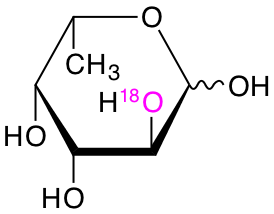 structure of L-[2-18O]fucose