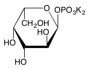 structure of alpha-L-Gal1P