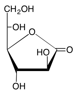 structure of L-galactono-1,4-lactone