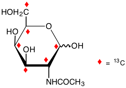 structure of N-acetyl-D-[UL-13C6]galactosamine