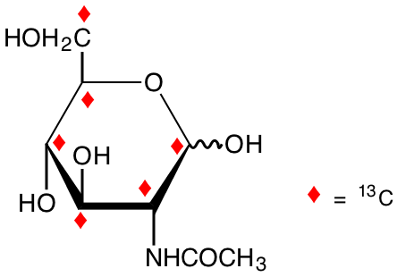 structure of N-acetyl-D-[UL-13C6]glucosamine