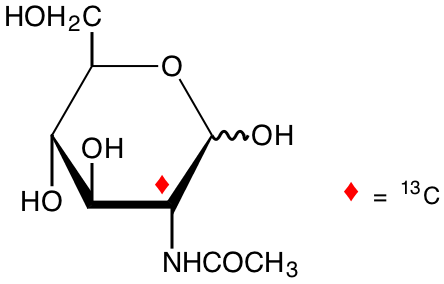 structure of N-acetyl-D-[2-13C]glucosamine