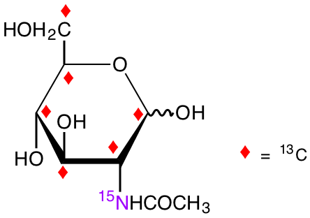 structure of N-acetyl-D-[UL-13C6;15N]glucosamine