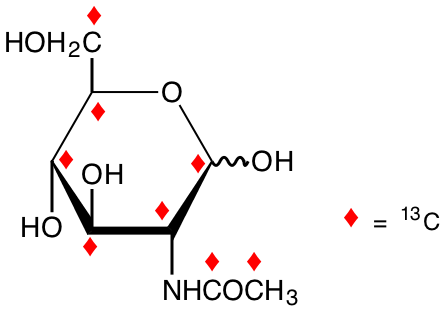 structure of N-[1,2-13C2]acetyl-D-[UL-13C6]glucosamine