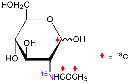 structure of N-[1,2-13C2]acetyl-D-[1-13C;15N]glucosamine