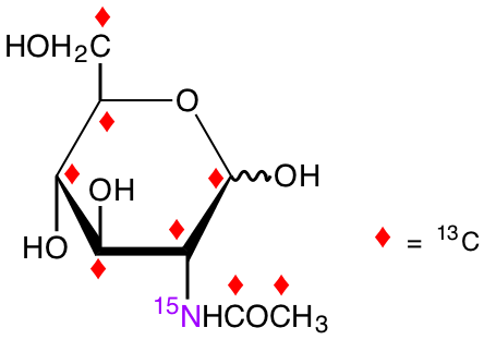 structure of N-[1,2-13C2]acetyl-D-[UL-13C6;15N]glucosamine