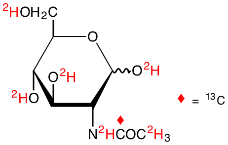 structure of N-[1-13C; 2-2H3]acetyl-D-[tetra-O-2H; N2-2H]glucosamine