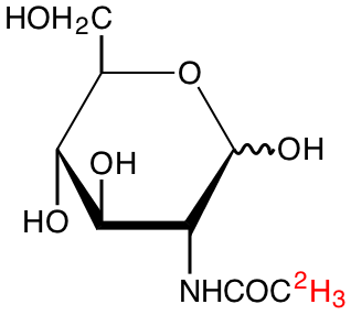 structure of N-[Me-2H3]acetyl-D-glucosamine