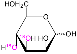 structure of D-[3,4-18O2]mannose