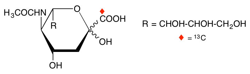 structure of N-acetyl-D-[1-13C]neuraminic acid