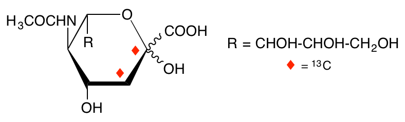 structure of N-acetyl-D-[2,3-13C2]neuraminic acid