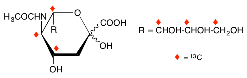 structure of N-acetyl-D-[4,5,6,7,8,9-13C6]neuraminic acid