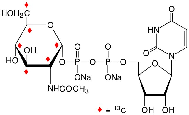 structure of UDP-alpha-N-acetyl-D-[UL-13C6]glucosamine